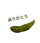 えだまめちゃんの日常会話（個別スタンプ：3）