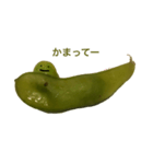 えだまめちゃんの日常会話（個別スタンプ：6）