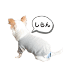 URUスタンプ（個別スタンプ：8）