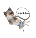 URUスタンプ（個別スタンプ：10）