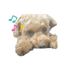 Funny dog ！（個別スタンプ：6）