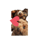 Funny dog ！（個別スタンプ：8）