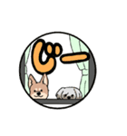 こたちゃんとぎんちゃん（個別スタンプ：1）
