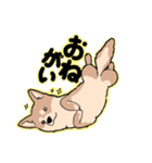 こたちゃんとぎんちゃん（個別スタンプ：3）