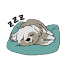 こたちゃんとぎんちゃん（個別スタンプ：4）