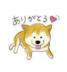 幸せな柴犬との日常（個別スタンプ：13）