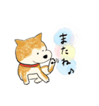 幸せな柴犬との日常（個別スタンプ：16）