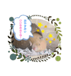 まゅはむファミリー♡（個別スタンプ：3）