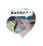 まゅはむファミリー♡（個別スタンプ：5）