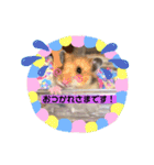 まゅはむファミリー♡（個別スタンプ：7）