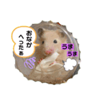 まゅはむファミリー♡（個別スタンプ：10）