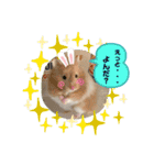 まゅはむファミリー♡（個別スタンプ：14）
