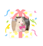まゅはむファミリー♡（個別スタンプ：16）