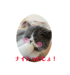 おり、ごんじゃれす！（個別スタンプ：3）