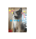 おり、ごんじゃれす！（個別スタンプ：4）