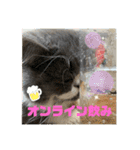 おり、ごんじゃれす！（個別スタンプ：19）
