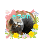 おり、ごんじゃれす！（個別スタンプ：22）