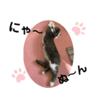 おり、ごんじゃれす！（個別スタンプ：24）