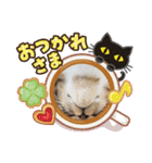 ニャンコの日常会話（個別スタンプ：2）