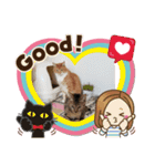 ニャンコの日常会話（個別スタンプ：4）