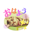 きゃわいいキキちゃん！（個別スタンプ：1）