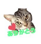 きゃわいいキキちゃん！（個別スタンプ：5）