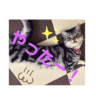 きゃわいいキキちゃん！（個別スタンプ：11）