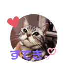 きゃわいいキキちゃん！（個別スタンプ：12）