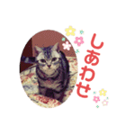 きゃわいいキキちゃん！（個別スタンプ：13）