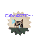 きゃわいいキキちゃん！（個別スタンプ：14）
