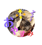 きゃわいいキキちゃん！（個別スタンプ：15）