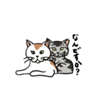 まめたんくと愉快な仲間たち（個別スタンプ：12）