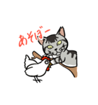 まめたんくと愉快な仲間たち（個別スタンプ：17）