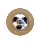 KIRI Poco #1（個別スタンプ：3）