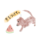 うちんちのわんこ。（個別スタンプ：4）