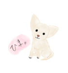 うちんちのわんこ。（個別スタンプ：5）