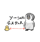 べんけいのゆるふわスタンプ（個別スタンプ：40）