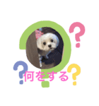 雪子でーす Vol.2（個別スタンプ：1）