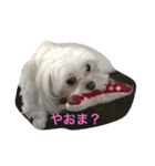 雪子でーす Vol.2（個別スタンプ：2）