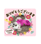 雪子でーす Vol.2（個別スタンプ：3）