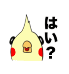 チャップとギョップ①（個別スタンプ：6）