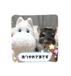 チンチラ桃太⑶（個別スタンプ：8）