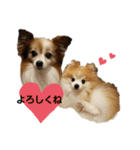 毛むくじゃら達4♡（個別スタンプ：2）