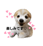 毛むくじゃら達4♡（個別スタンプ：5）