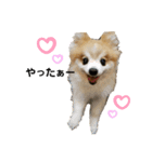 毛むくじゃら達4♡（個別スタンプ：6）