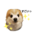 毛むくじゃら達4♡（個別スタンプ：7）
