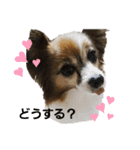 毛むくじゃら達4♡（個別スタンプ：9）