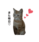 毛むくじゃら達4♡（個別スタンプ：15）