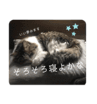 もひかぷファミリーの何気ない日常（個別スタンプ：9）