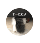 もひかぷファミリーの何気ない日常（個別スタンプ：11）